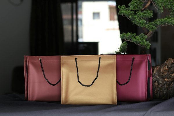 Les Fondements Indispensables de l'Éducation au Développement Durable : Votre Guide Incontournable